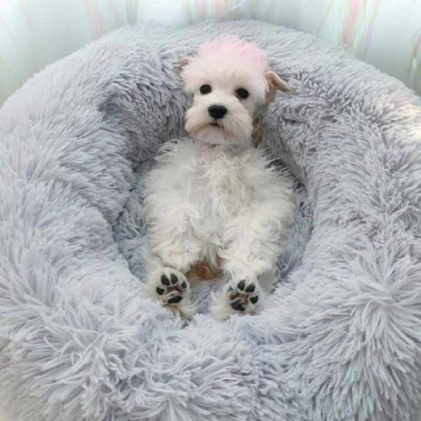 Cozy Faux Fur Dog And Cat Bed With High-Stretch Fabric - Image 5