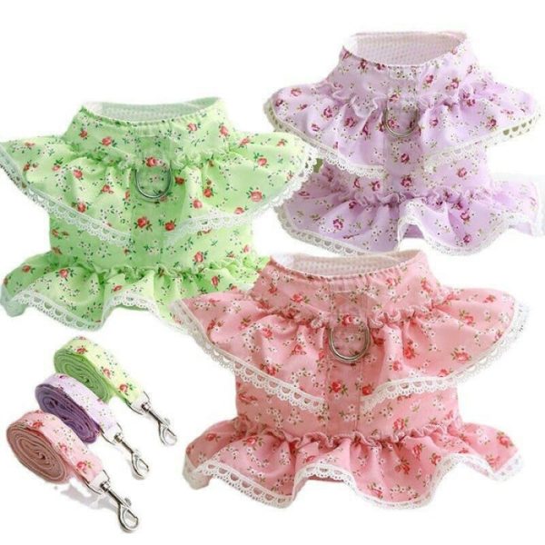 Floral Dog Dress With Lace Trim And Lead Set - Image 2