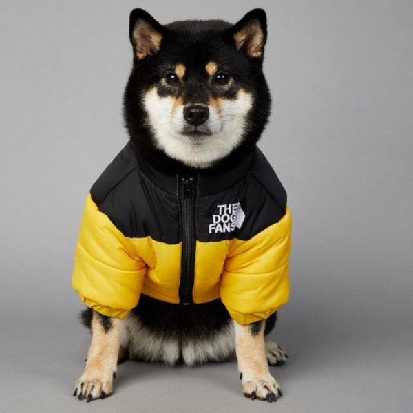 Designer Dog Coat For Fall And Winter - Image 3