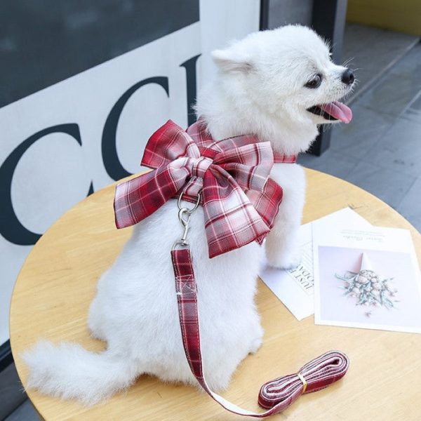 Plaid Harness Dress With Matching Leash - Image 5