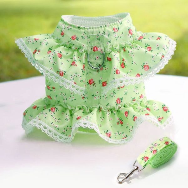 Floral Dog Dress With Lace Trim And Lead Set - Image 4