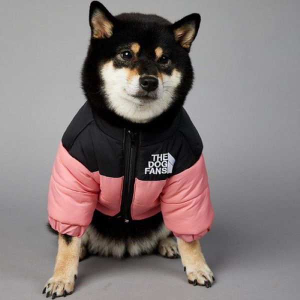 Designer Dog Coat For Fall And Winter - Image 4