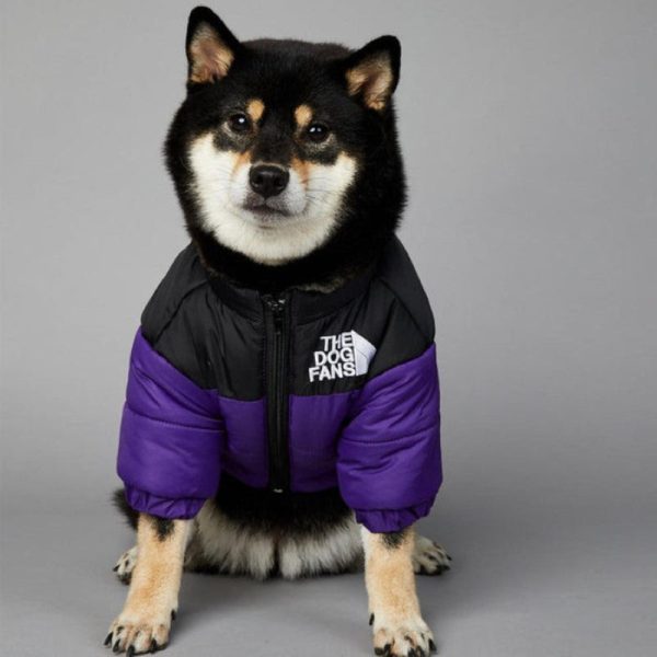Designer Dog Coat For Fall And Winter - Image 5