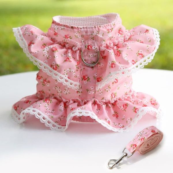 Floral Dog Dress With Lace Trim And Lead Set - Image 5