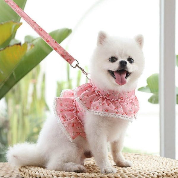 Floral Dog Dress With Lace Trim And Lead Set - Image 7