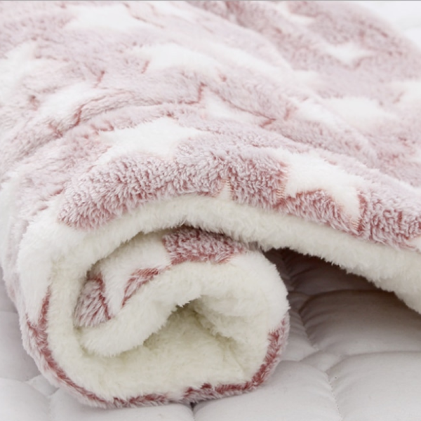 Thickened Pet Patterned Bed - Image 3