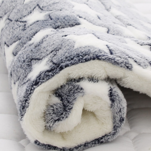 Thickened Pet Patterned Bed - Image 4
