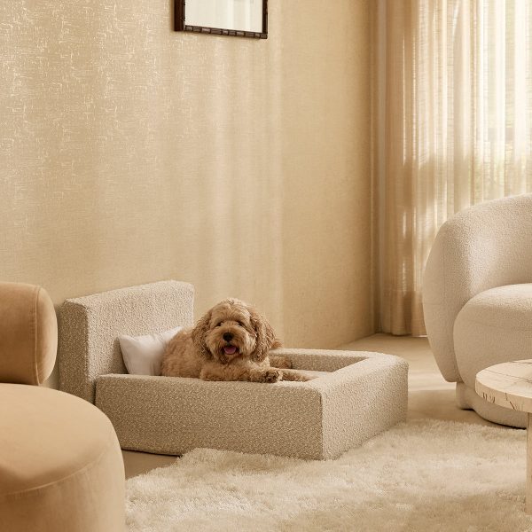 Luxurious Pet Sofa Bed - Image 8
