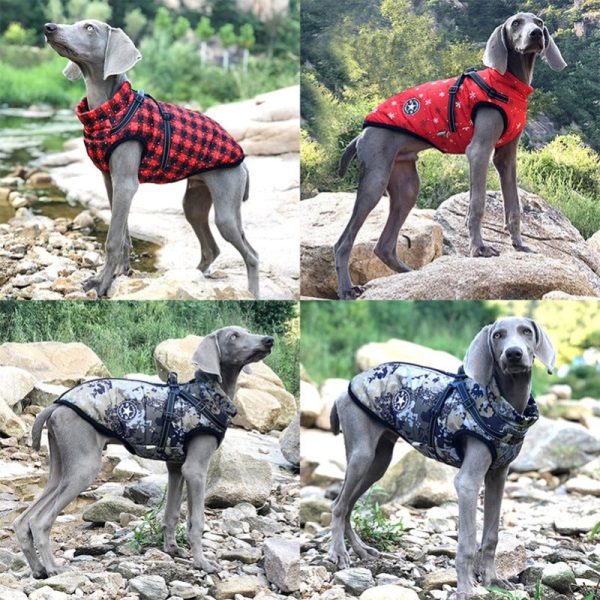 Warm Fleece Waterproof Jackets For Dogs - Image 11