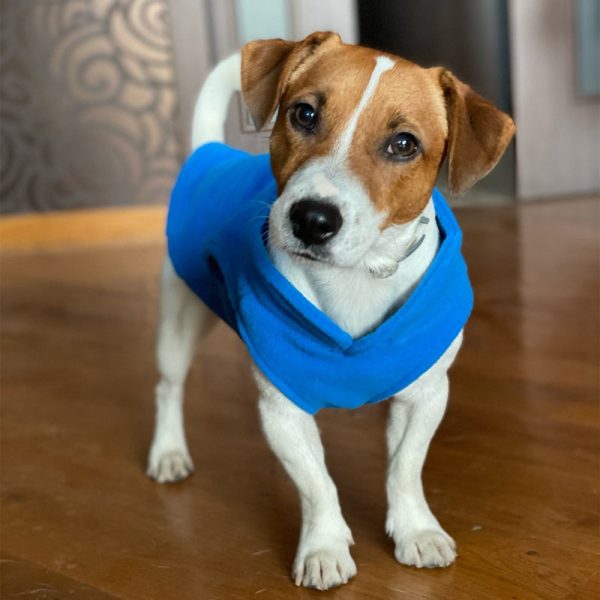Winters Soft Fleece Jackets For Small Dogs - Image 12